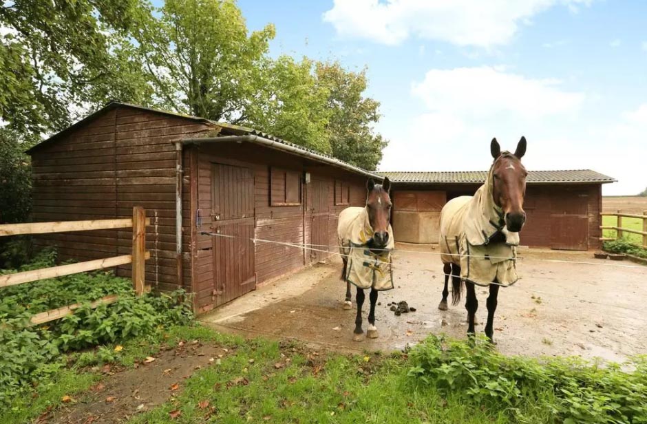 Equestrian Property - Bath and North East Somerset
